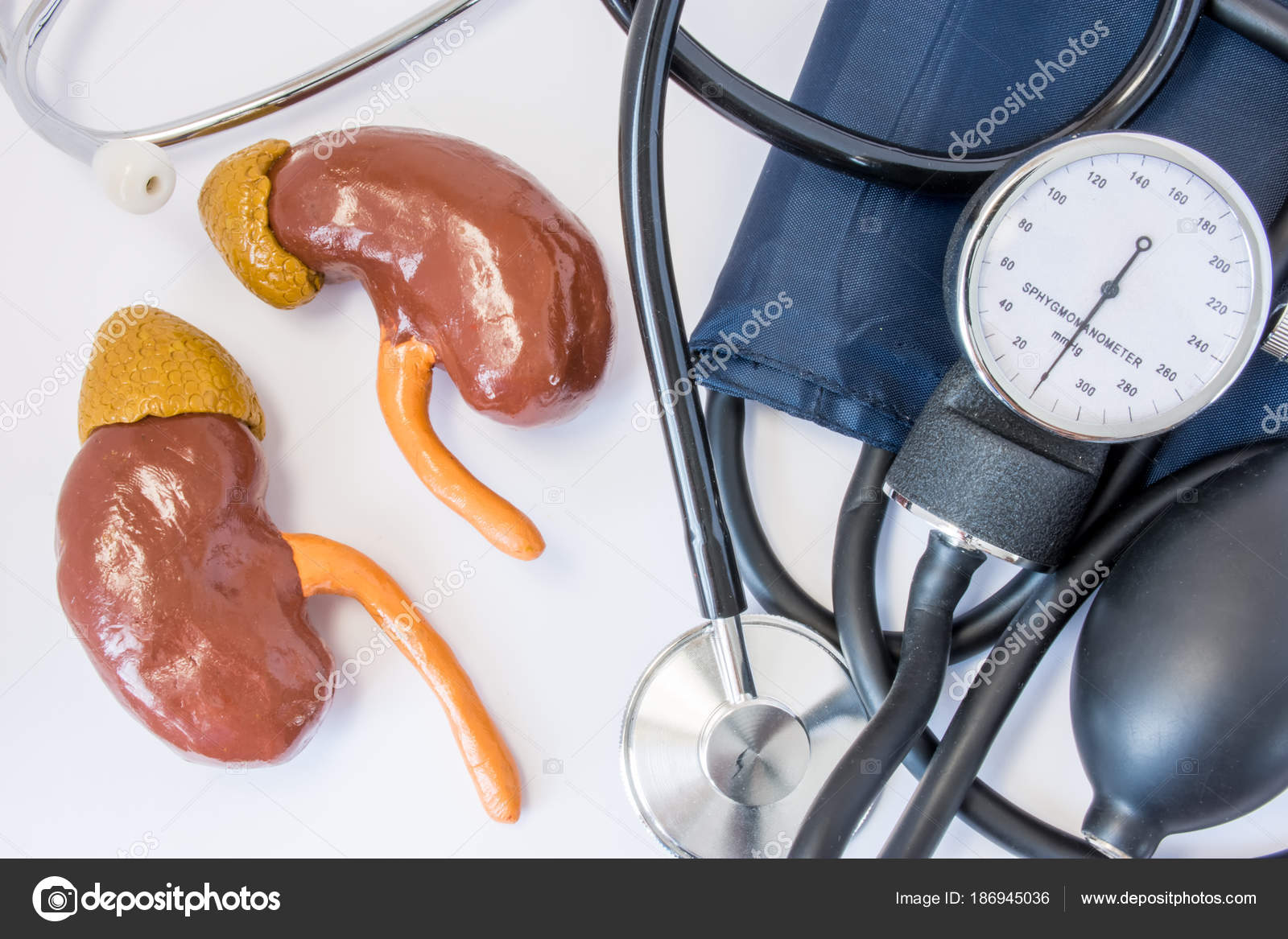 почечный кровоток. почечное давление симптомы. гломерулонефрит артериальная гипертензия. механизмы развития отеков при болезнях почек. механизмы развития отеков при патологии почек.