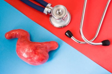 Tasarım kavramı tanı ve sindirim sistemi organ - mide hastalıkları tespit veya mide. Steteskop ve mide organ modeli karşılıklı kırmızı ve mavi arka plan vardır