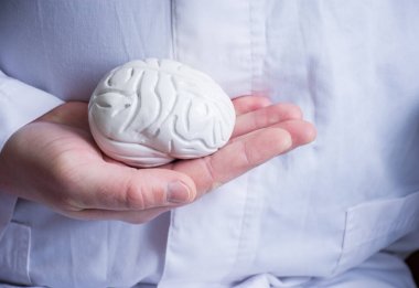 Beyaz önlük Doktor insan beyninin anatomik model avuç elinde tutar. Konsept fotoğraf tanı, tedavi ve beyin, sinirler ve sinir sistemi hastalıkları önleme