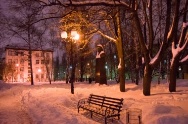 Şehir park banklar, ağaçlar ve sokak ışıkları derin karda. Kış gece fotoğraf park snowdrifts ile 