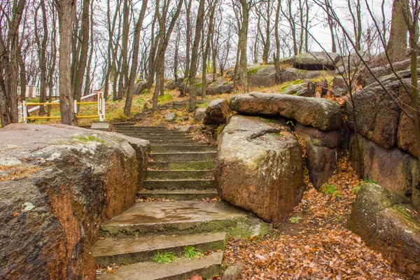 Merdivenler parktaki taş granit kayaların arasında yaprakları olmayan ağaçların arasında. Arka planda sonbahar melankolik manzarası gri yağmurlu gökyüzü 