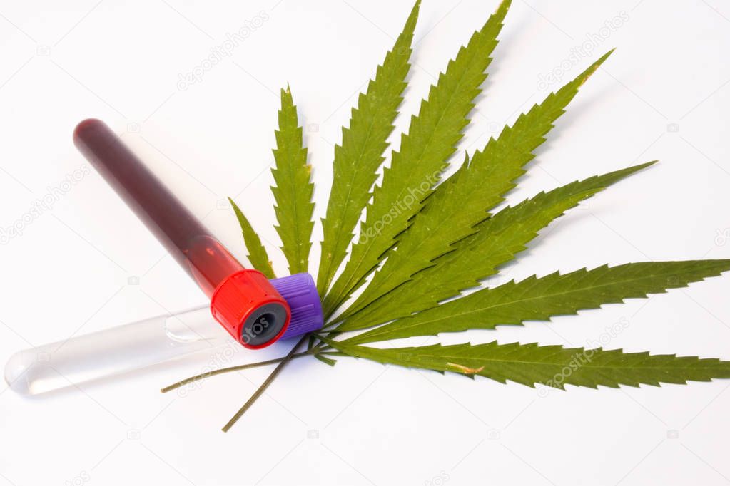 Los tubos de laboratorio con muestras de sangre y otros fluidos