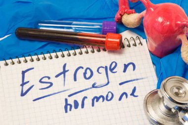Östrojen hormonu veya enzim birincil erkek cinsiyet hormonu teşhis kavramı ölçüm olarak. Laboratuvar test tubes kan ve metin östrojen notla yanında bu hormon üreten rahim ile yumurtalık,