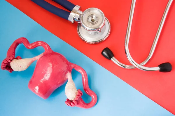 Design concept of diagnosis and detecting diseases of female genital organs (uterus, ovaries). Stethoscope and model of internal female organs are opposite each other on red and blue background — Stock Image Design Concept Diagnosis Detecting Diseases Female Genital Organs Uterus Ovaries Stock Picture