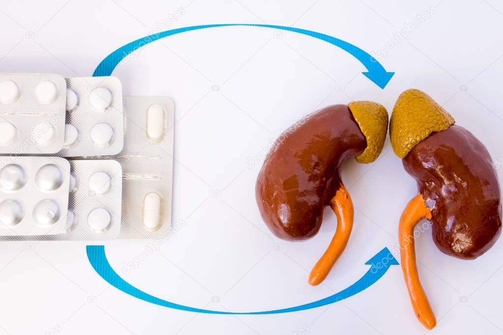Hormone replacement therapy, hormonal suppression or pharmacological treatment of diseases of adrenal glands or kidneys. Figure of kidneys with adrenals is close to drugs in blisters with arrows