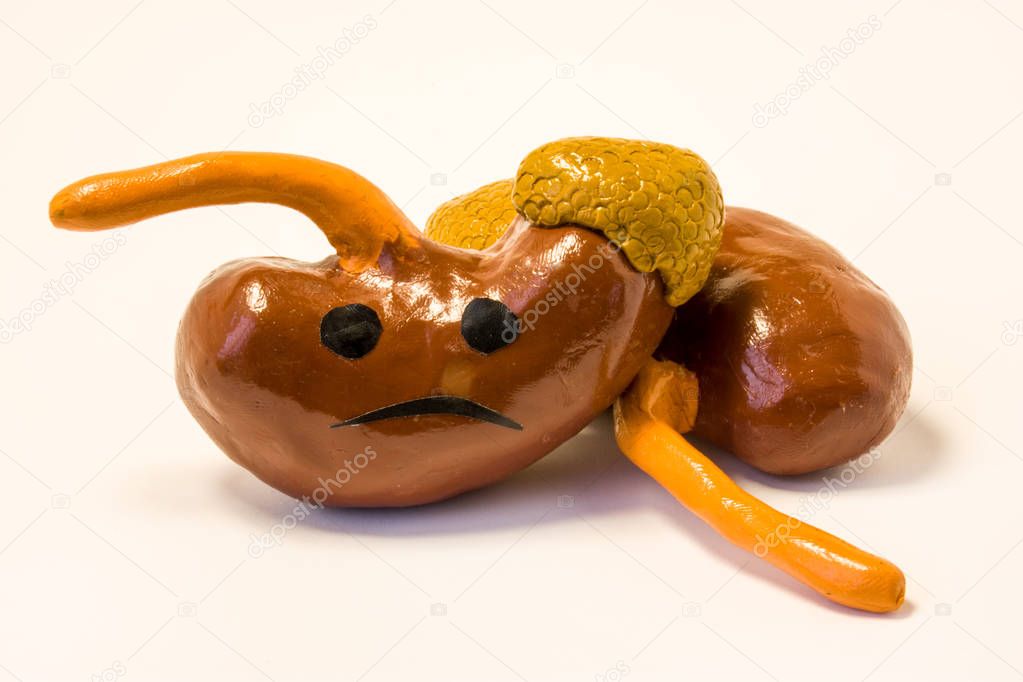 Concept photo of unhappy, sad kidneys organs with adrenal gland and ureters with sickness or disorder. Figure of kidneys with sad smile,which symbolizes renal sickness: discomfort, pain, ache, problem