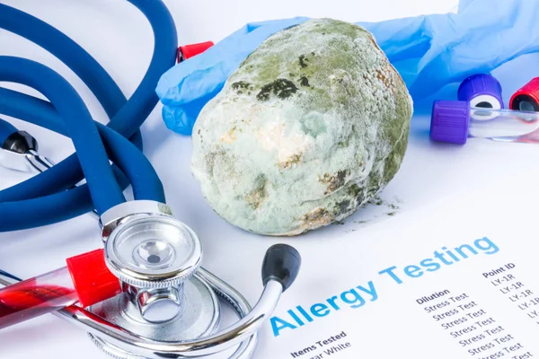 Concept photo of mold or mildew allergy testing. Fruit covered with mold, is near the test tubes with blood sample for tests, stethoscope, and the result of patient allergic test on white background