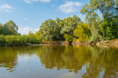 Nehir yatağının sol kıyısı sığ ve su basmış güverteler, dik kıyılardan sağa doğru devrilmiş ağaçlar, ormanla kaplanmış. Avrupa 'da Ukrayna' da akan Teteriv Nehri manzarası