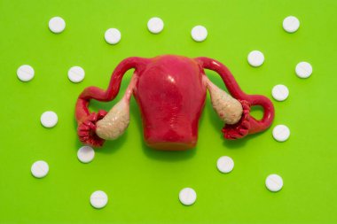 Yumurtalıklı kadın uterusunun anatomik modeli yeşil arka planda, etrafında beyaz tabletlerle polka noktalarında süs oluşturuyor. Jinekolojide kullanılmak üzere konsept sanat fotoğrafı, kadın üreme sağlığı