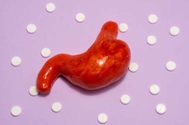 Mide anatomik figürü, canlı organın aynı şekli, mor arka planda beyaz haplarla çevrili, polka noktaları süsü. Gastroenteroloji ve konsept tedavisinde kullanılacak fotoğraflar 