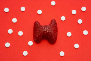 Anatomik orijinale karşılık gelen tiroid bezinin modeli veya şekli, kırmızı arka planda polka noktalarıyla süslenmiş beyaz haplarla çevrilidir. Endokrinolojide ve hormonlarda kullanılmak üzere fotoğraf