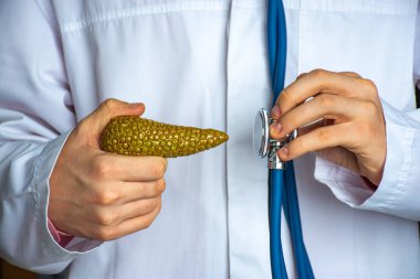 Gastroenterolojide teşhis fotoğrafı. Doktor, bir yandan insan pankreası, diğer yandan steteskop, teşhis süreci ve pankreas bezi hastalıkları, diyabet,