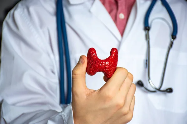 Fotografia Conceito Estudo Diagnóstico Endocrinologia Doutor Branco Segura Sua Mão — Fotografia de Stock