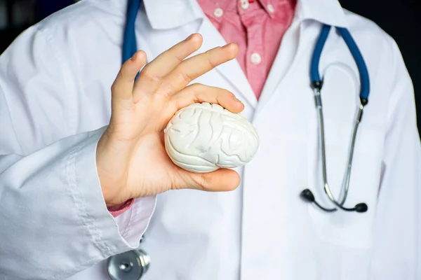 Médico Geral Neurologista Segurando Modelo Anatômico Cérebro Humano Conceito Foto — Fotografia de Stock