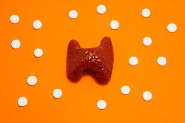 Anatomik orijinale karşılık gelen tiroid bezinin modeli veya şekli, mor arka planda polka noktalarıyla süslenmiş beyaz haplarla çevrelenmiştir. Endokrinolojide ve hormonlarda kullanılmak üzere fotoğraf