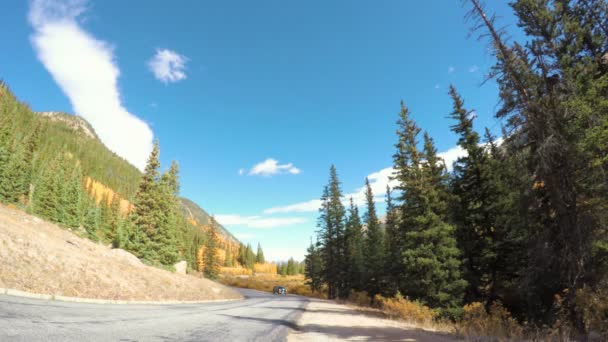 Οδηγώντας μέσω αλπικό δάσος το φθινόπωρο. — Αρχείο Βίντεο