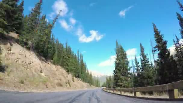 Rijden door alpine bos in de herfst. — Stockvideo