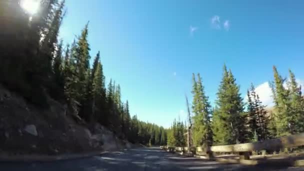Driving through alpine forest in the Autumn. — Stock Video