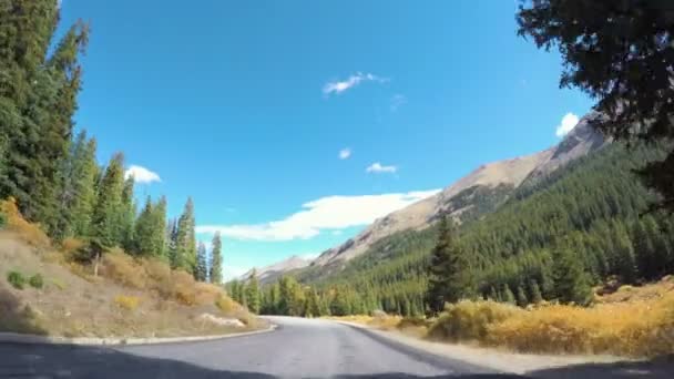 Rijden door alpine bos in de herfst. — Stockvideo