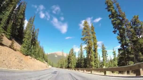 가 고산 숲을 통해 운전. — 비디오