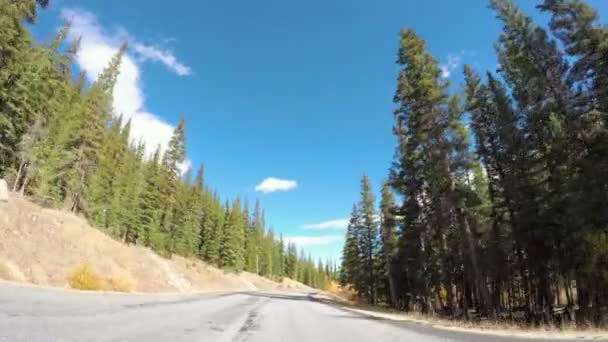 Conduire à travers la forêt alpine à l'automne . — Video