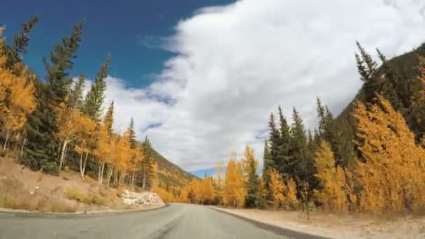 Conducir a través del bosque alpino en el otoño . — Vídeos de Stock