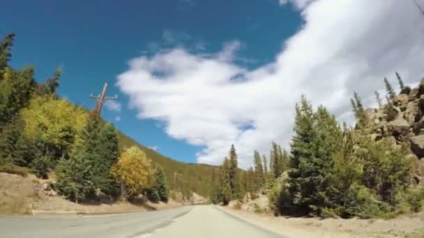 Conducir a través del bosque alpino en el otoño . — Vídeos de Stock