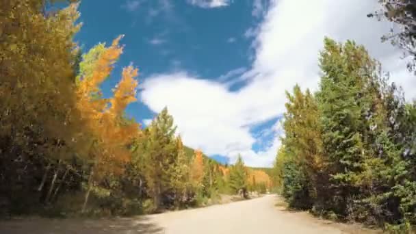 Körning genom Alpin skog i höst. — Stockvideo