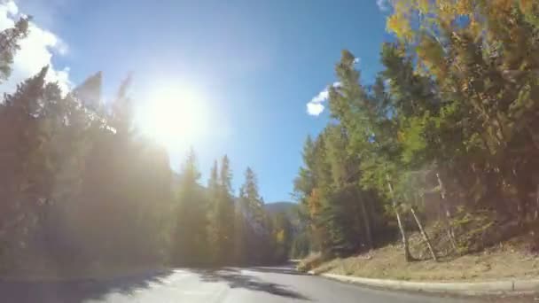 Conduire à travers la forêt alpine à l'automne . — Video