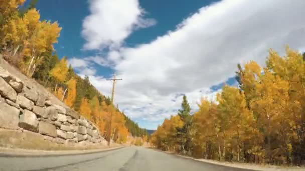 Im Herbst durch den Alpenwald fahren. — Stockvideo