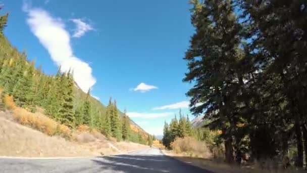 Rijden door alpine bos in de herfst. — Stockvideo