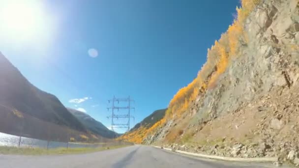 Driving through alpine forest in the Autumn. — Stock Video