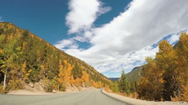 在秋天开车穿过高山森林. — 图库视频影像