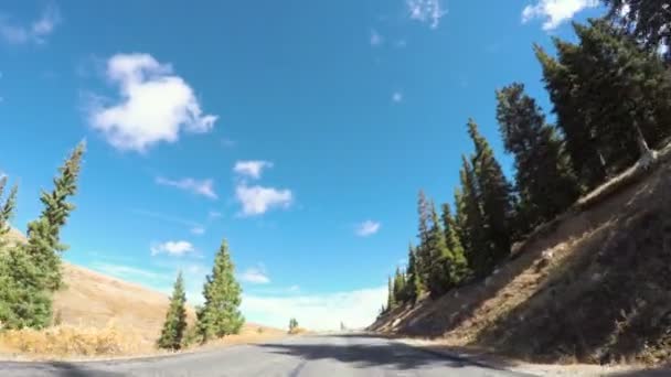 Conducir a través del bosque alpino en el otoño . — Vídeo de stock