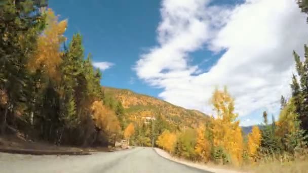 Alp ormandan sonbaharda sürüş. — Stok video