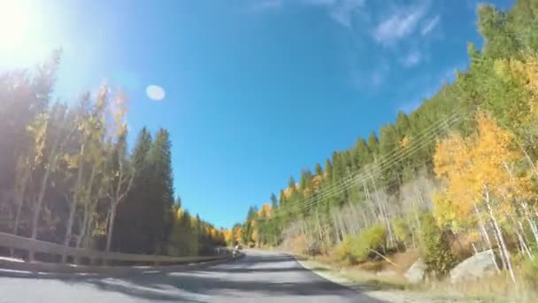Guidare attraverso la foresta alpina in autunno . — Video Stock