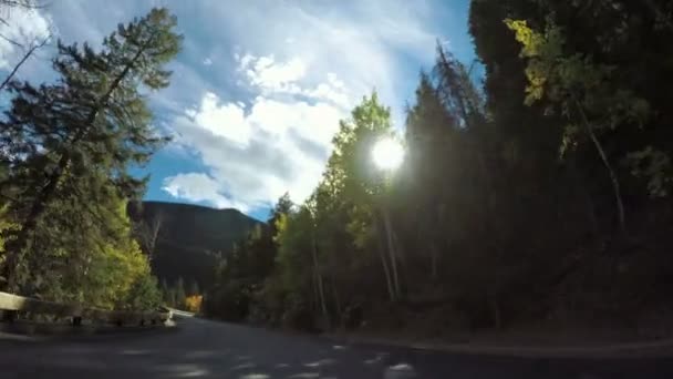 Conducir a través del bosque alpino en el otoño . — Vídeos de Stock
