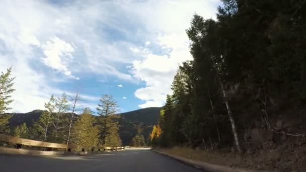 Körning genom Alpin skog i höst. — Stockvideo
