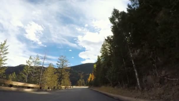 Rijden door alpine bos in de herfst. — Stockvideo