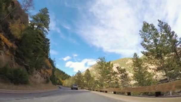Driving through alpine forest in the Autumn. — Stock Video