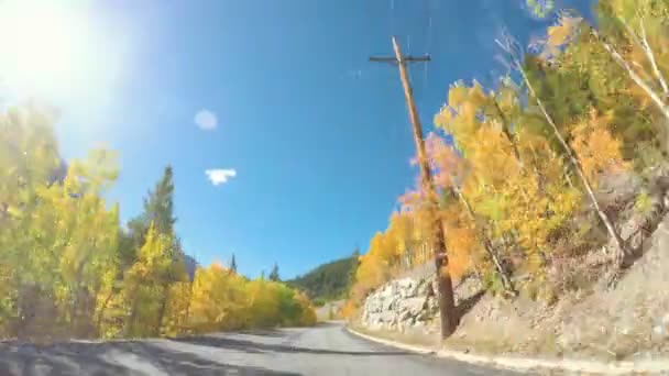 Im Herbst durch den Alpenwald fahren. — Stockvideo