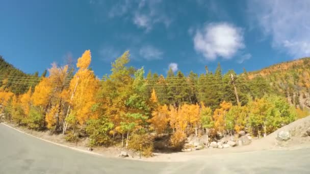 Conduire à travers la forêt alpine à l'automne . — Video