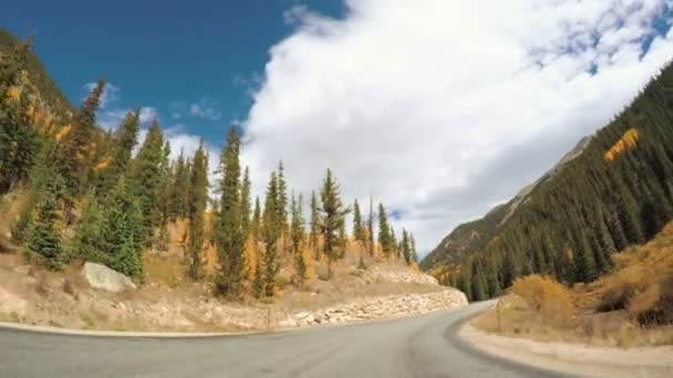 Езда по альпийским лесам осенью . — стоковое видео