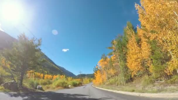 Jazdy przez alpejski Las jesienią. — Wideo stockowe