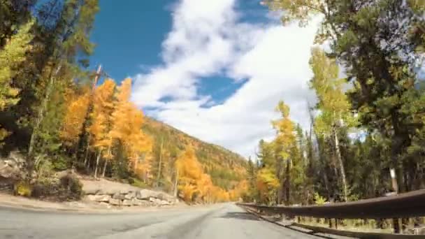 Driving through alpine forest in the Autumn. — Stock Video