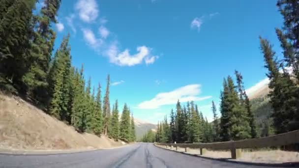 Conduzir através da floresta alpina no Outono . — Vídeo de Stock