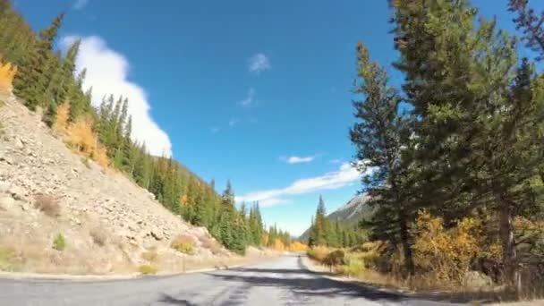 Conduire à travers la forêt alpine à l'automne . — Video