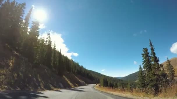 Conduire à travers la forêt alpine à l'automne . — Video