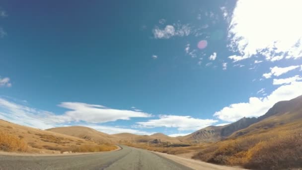 Conduire à travers la forêt alpine à l'automne . — Video