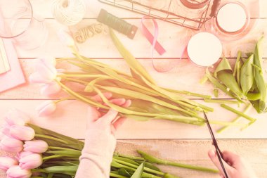 Pembe Lale görünümü